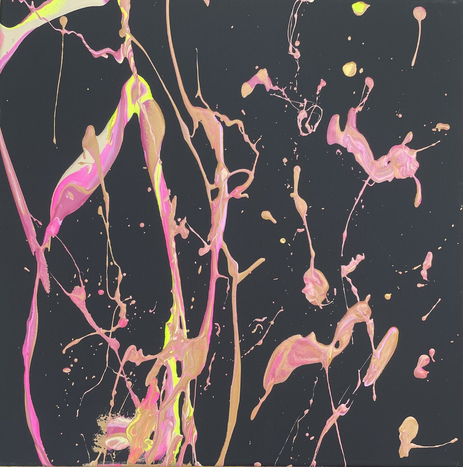 SPLASH ON BLACK || Marlena Louisa