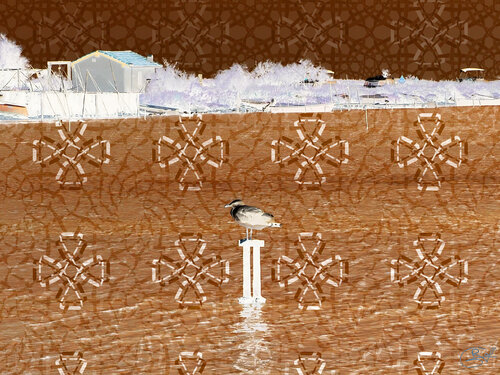 Mouette perchée près de Latte (24-08-2022) von Raphaël Galante, Druck kaufen auf Singulart