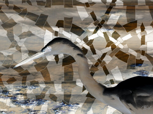 Regard fixe dans l'étang de l'Or (24-08-2022) by Raphaël Galante, Print for Sale on Singulart