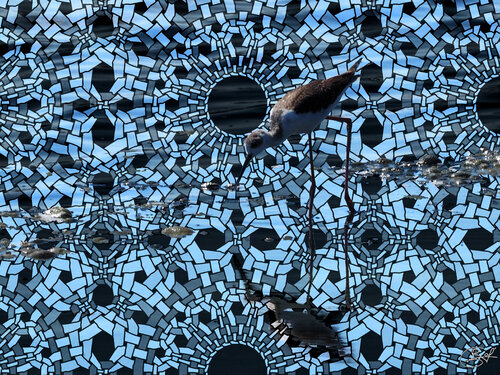 Partie de pêche à l'étang de l'Or (24-08-2022) von Raphaël Galante, Druck kaufen auf Singulart