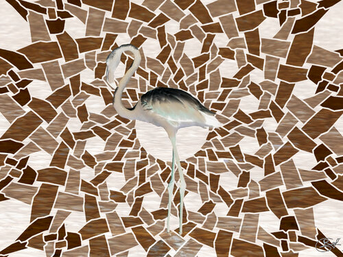 Portrait d'un flamant rose (24-08-2022) by Raphaël Galante, Print for Sale on Singulart