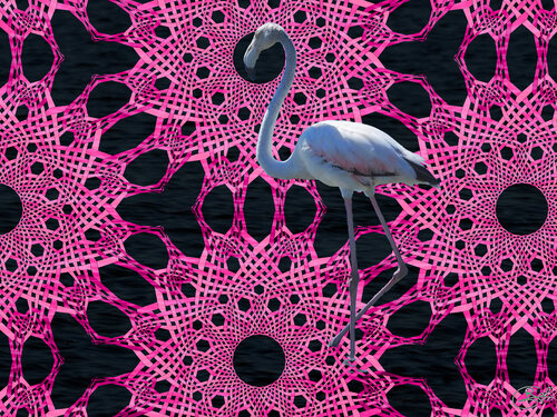 Portrait d'un flamant rose (24-08-2022) by Raphaël Galante, Print for Sale on Singulart