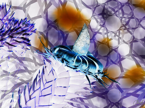 Inflorescence spectrale di Raphaël Galante, Digitale in vendita su Singulart