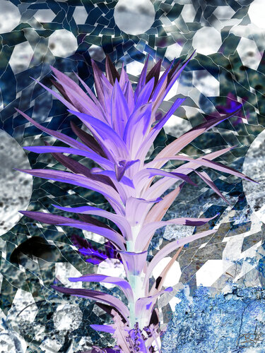 Langue d’ombre, murmure nocturne by Raphaël Galante, Digital for Sale on Singulart