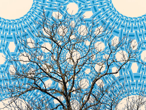 Ramifications synaptiques sur un lit de boucles di Raphaël Galante, Digitale in vendita su Singulart