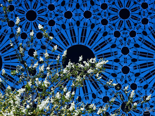 Mémoire pré-miroir noir di Raphaël Galante, Digitale in vendita su Singulart
