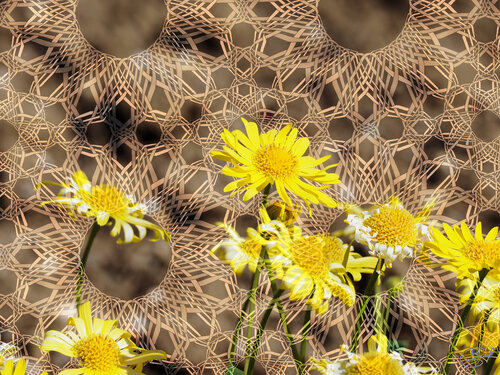 Abandon des gaillardes sur une chorégraphie contrariée de Raphaël Galante, Digital a la venta en Singulart