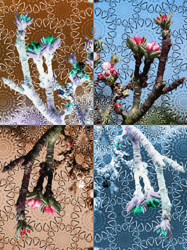 Le bal costumé des bourgeons van Raphaël Galante, Digitaal te koop op Singulart