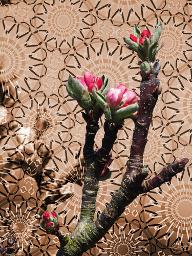 Pas suspendu des bourgeons di Raphaël Galante, Digitale in vendita su Singulart