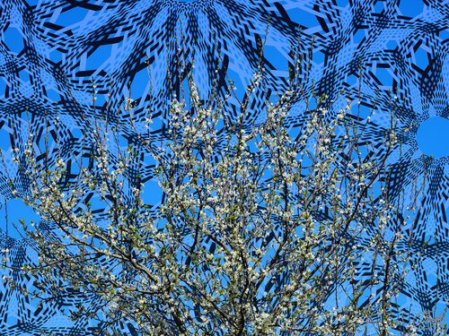 L’arbre au-delà du songe ciselé de Raphaël Galante, Digital a la venta en Singulart