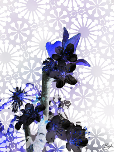 Éclat de taille : Avenir van Raphaël Galante, Digitaal te koop op Singulart