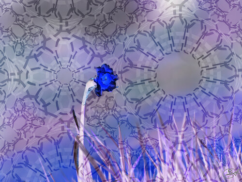 Soliflore du serment éternel par Raphaël Galante, Digital en vente sur Singulart
