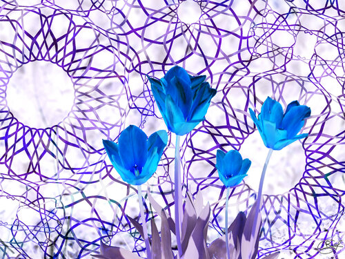 Complexe d’as en Or van Raphaël Galante, Digitaal te koop op Singulart