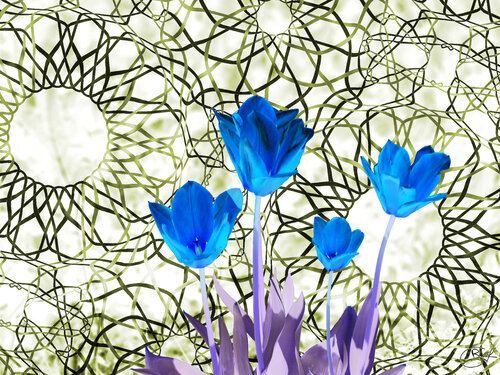 Semi-complexe d’as en Or von Raphaël Galante, Digital kaufen auf Singulart