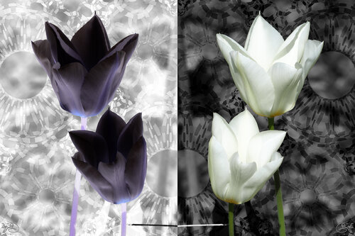 Innocence ténébreuse et Clémence précieuse by Raphaël Galante, Digital for Sale on Singulart