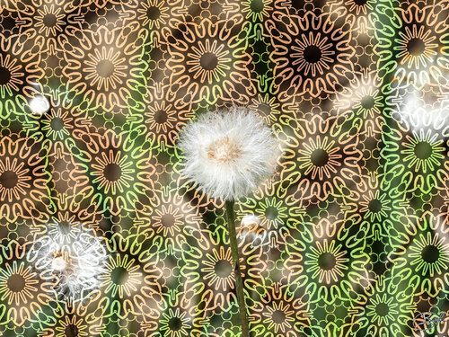 Aux portes de la semaille by Raphaël Galante, Digital for Sale on Singulart