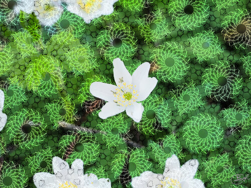 Entre-là, sans mémoire ! par Raphaël Galante, Digital en vente sur Singulart