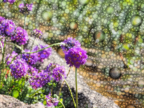 Ombelle infiniment by Raphaël Galante, Digital for Sale on Singulart