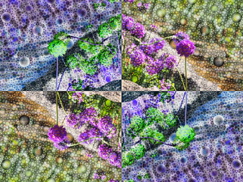 Ombellature en Floraxie van Raphaël Galante, Digitaal te koop op Singulart