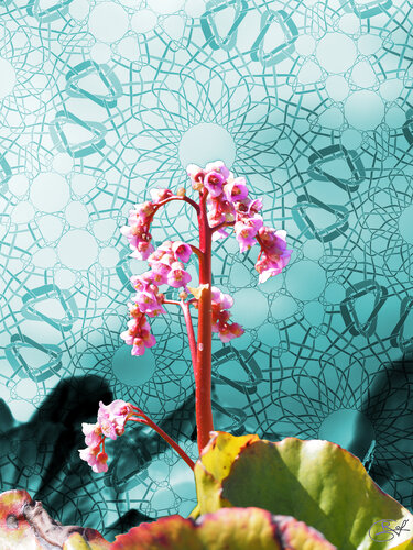 Souffle Émeraude di Raphaël Galante, Digitale in vendita su Singulart