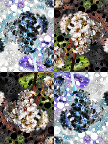 Tétralune par Raphaël Galante, Digital en vente sur Singulart