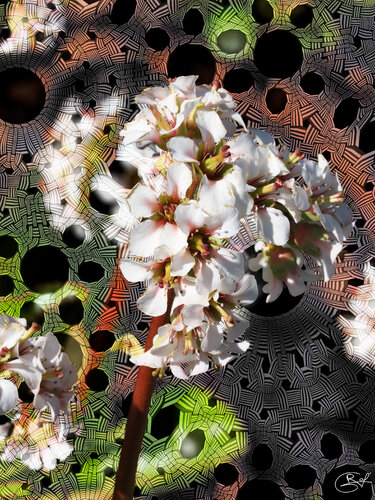 Lunule ascendante by Raphaël Galante, Digital for Sale on Singulart