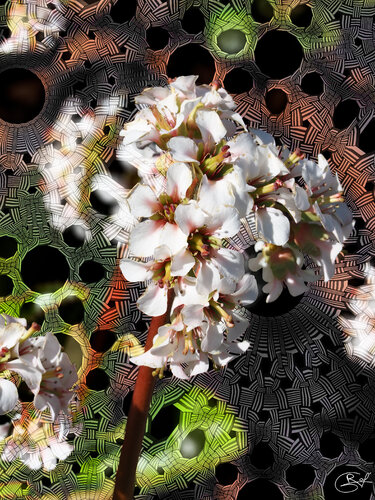 Lunule descendante par Raphaël Galante, Digital en vente sur Singulart