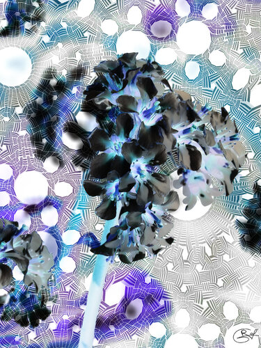 Pleine lune par Raphaël Galante, Digital en vente sur Singulart