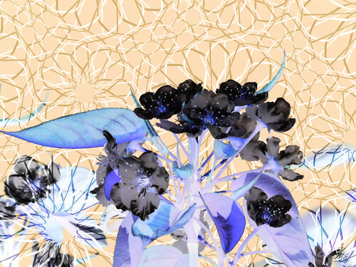 Croissance goûtue pour une croyance qui croît van Raphaël Galante, Digitaal te koop op Singulart