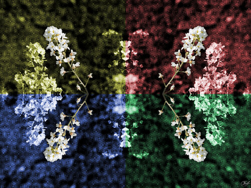 Tetra Croix par Raphaël Galante, Digital en vente sur Singulart