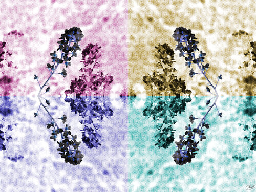 Diamant renversé by Raphaël Galante, Digital for Sale on Singulart