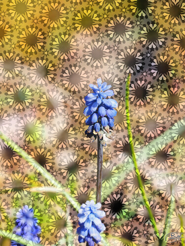 Rhapsodie pour une polyphonie en folie by Raphaël Galante, Digital for Sale on Singulart