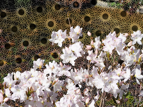 L’écume figée by Raphaël Galante, Digital for Sale on Singulart