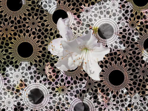 En ronde superposée by Raphaël Galante, Digital for Sale on Singulart