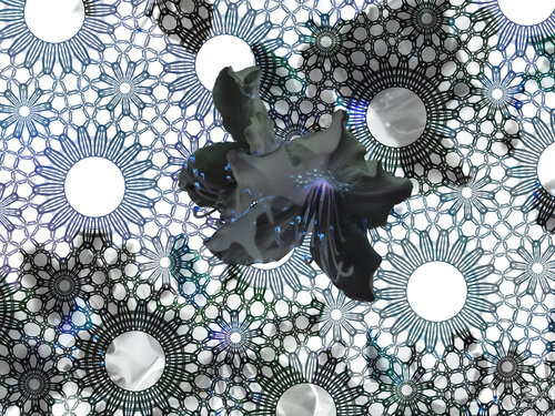 Tendres ténèbres par Raphaël Galante, Digital en vente sur Singulart