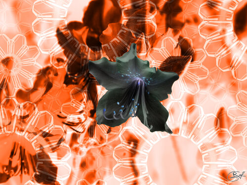 Présage incandescent par Raphaël Galante, Digital en vente sur Singulart