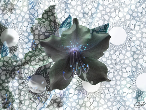 Nuit filée des écheveaux sélénites par Raphaël Galante, Digital en vente sur Singulart