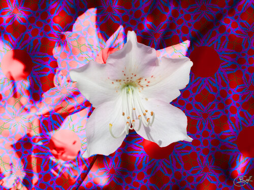 Jardin chromatique des écheveaux disparus par Raphaël Galante, Digital en vente sur Singulart