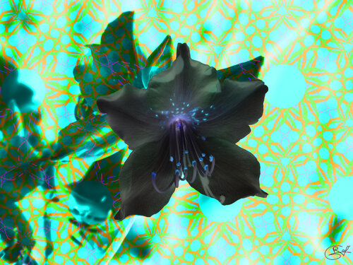 Flash sur une constellation d’écheveaux van Raphaël Galante, Digitaal te koop op Singulart