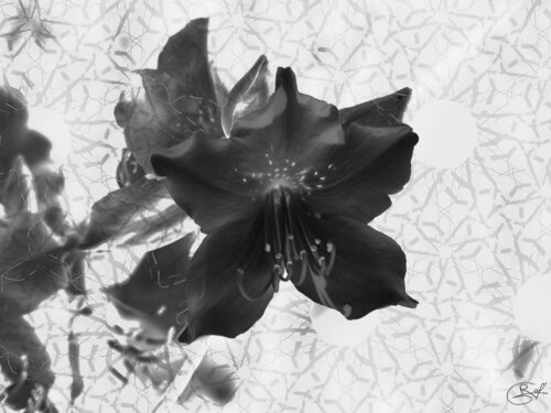 Épure d'écheveaux silencieux par Raphaël Galante, Digital en vente sur Singulart