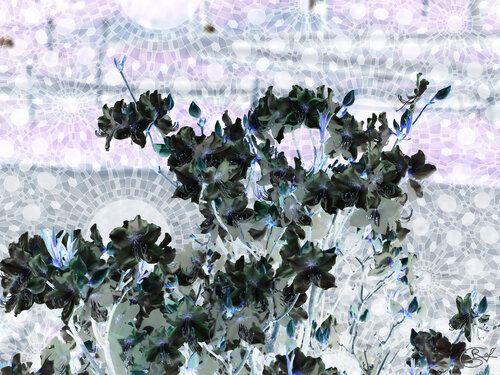 Un cristal, dans un végétal sidéral van Raphaël Galante, Digitaal te koop op Singulart