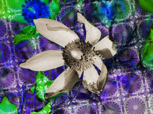Le contre-regard de l’Œil crafté par Raphaël Galante, Digital en vente sur Singulart