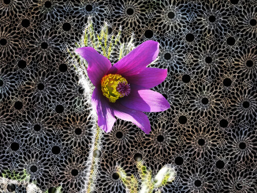 Entrelacs d'Outre-fleur de Raphaël Galante, Digital a la venta en Singulart