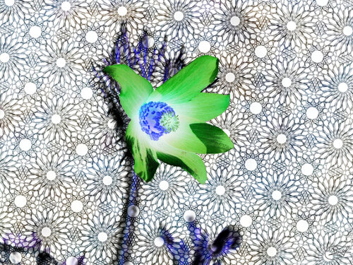 Entrelacs d’Intra-fleur par Raphaël Galante, Digital en vente sur Singulart