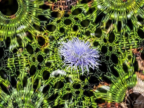 Jardin oublié, épine enchaînée by Raphaël Galante, Digital for Sale on Singulart