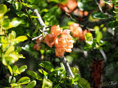 Horloge botanique by Raphaël Galante, Digital for Sale on Singulart