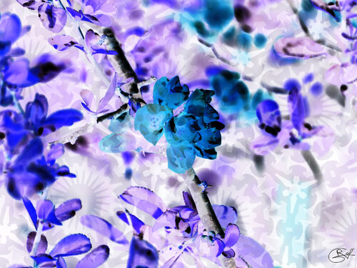 Cadran d’ombre florale van Raphaël Galante, Digitaal te koop op Singulart