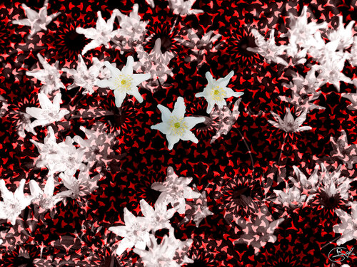 Album des ombres écarlates by Raphaël Galante, Digital for Sale on Singulart