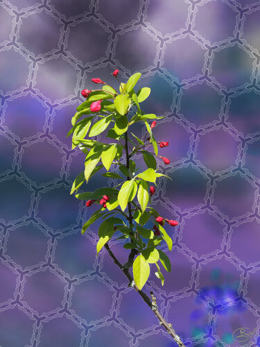 Le reflet d’un monde retroussé von Raphaël Galante, Digital kaufen auf Singulart