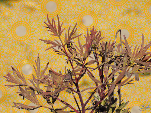 Le murmures des soleils sans bord by Raphaël Galante, Digital for Sale on Singulart